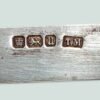 Mother of Pearl & Silver Folding Fruit Knife Collection
